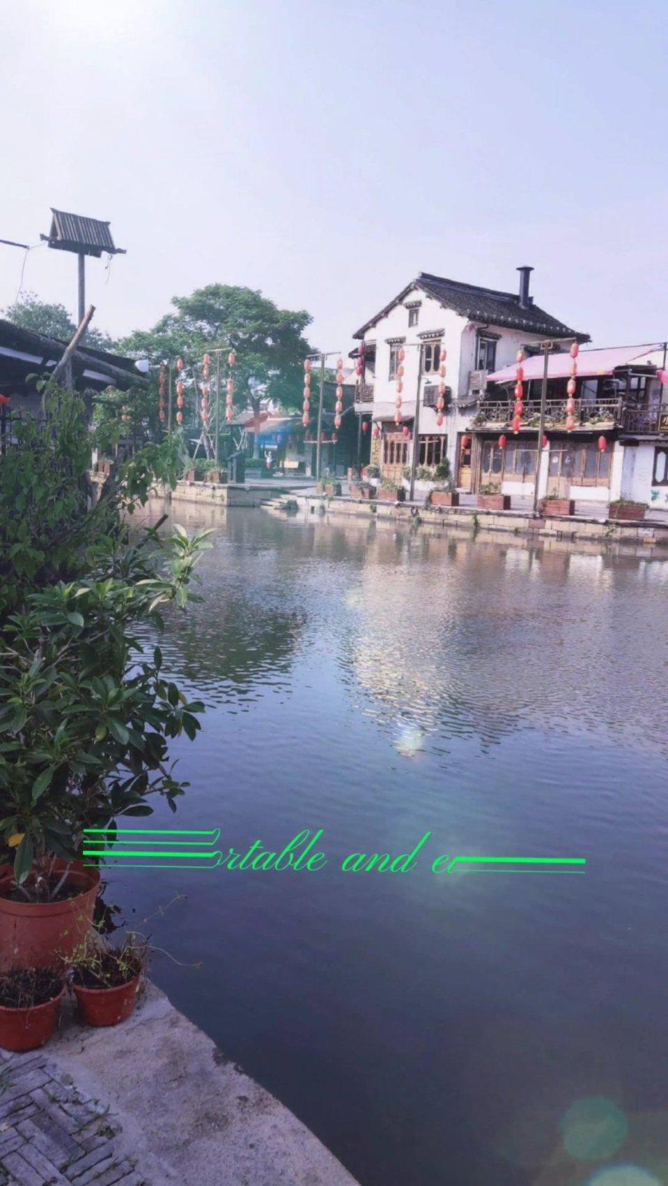 可爱猫咪救援